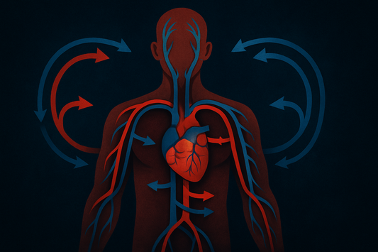 Breathing and Your Circulation: How Respiration Plays a Role in Cardiovascular Health