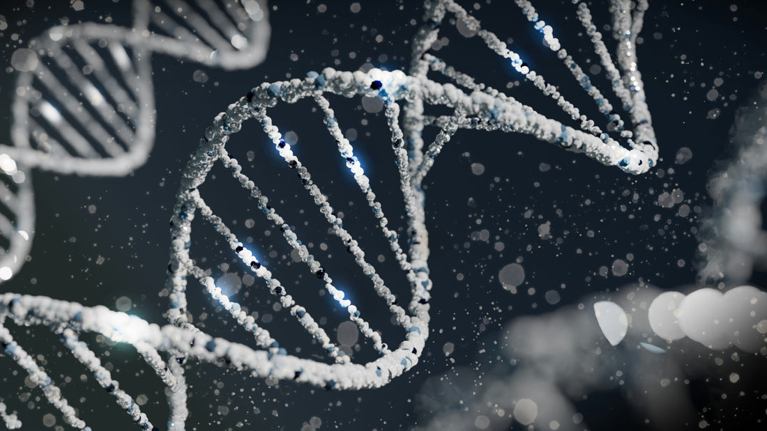 CRISPR and the Lungs: Could Gene Editing Cure Hereditary Respiratory Diseases?